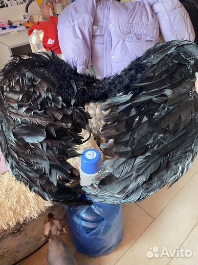 Крылья карнавальные черные