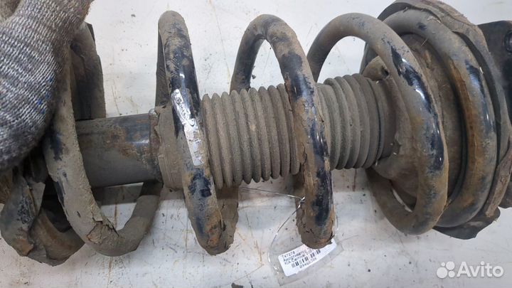 Амортизатор подвески киа Carnival, 2006