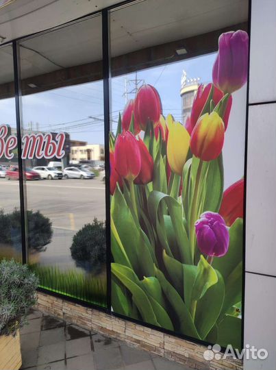 Печатаем баннер, этикетки, перфо