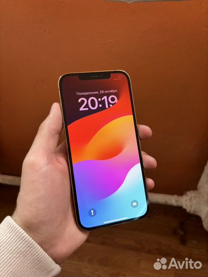 iPhone 12 Pro Max, 256 ГБ