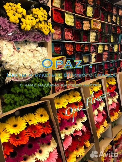 Цветы Букеты Розы Доставка 101 роза 51 роза 25 роз