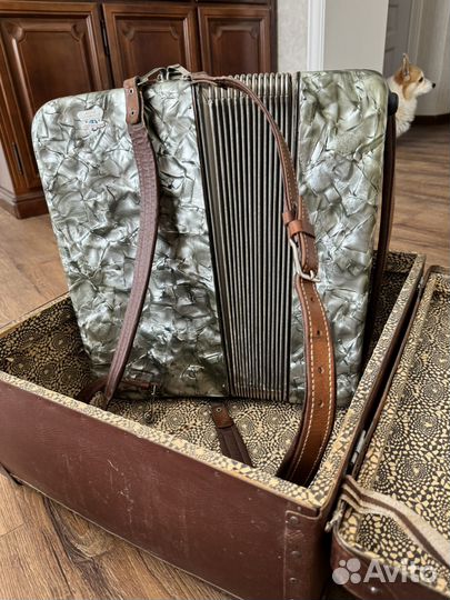 Баян weltmeister