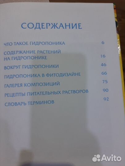 Гидропоника