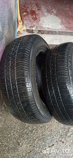 Pirelli WS-2 205/60 R15