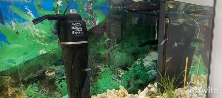 Аквариум с рыбками