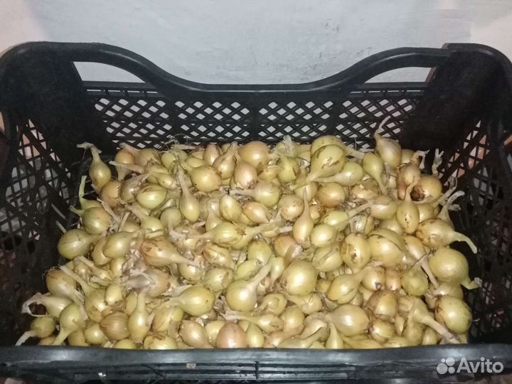 Корзина/ящик пластиковый