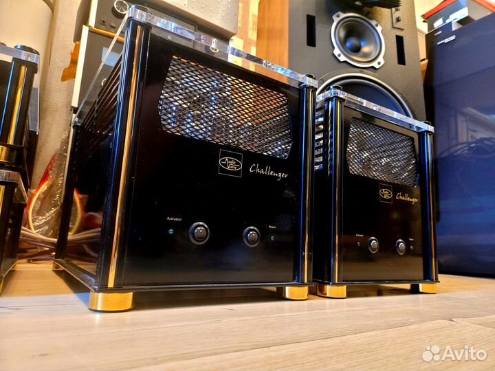 Walve audio моноблоки x2 ламповые