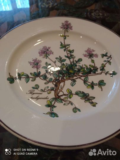 Villeroy boch botanica