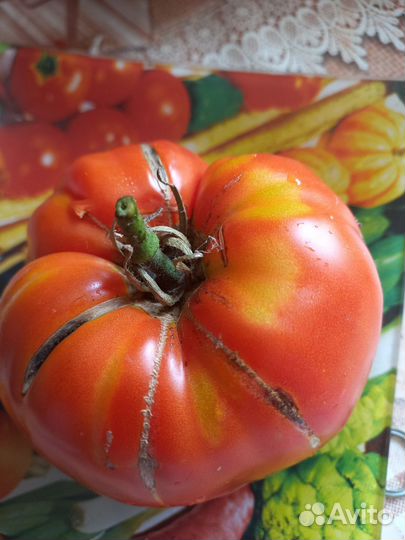 Минусинский томаты семена
