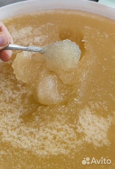 Мед белая акация