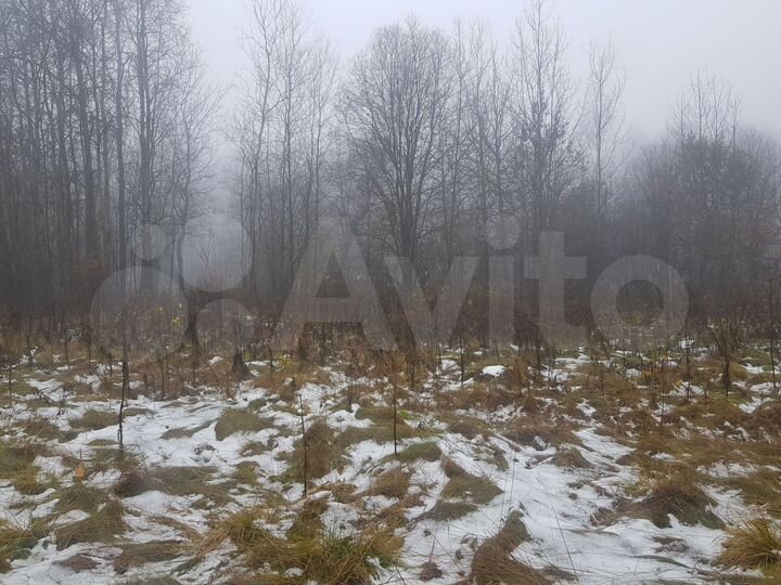 Участок 15 сот. (СНТ, ДНП)