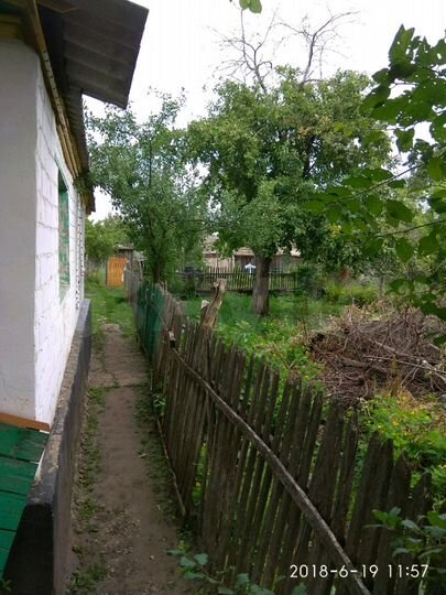 Дом 20 м² на участке 4 сот.
