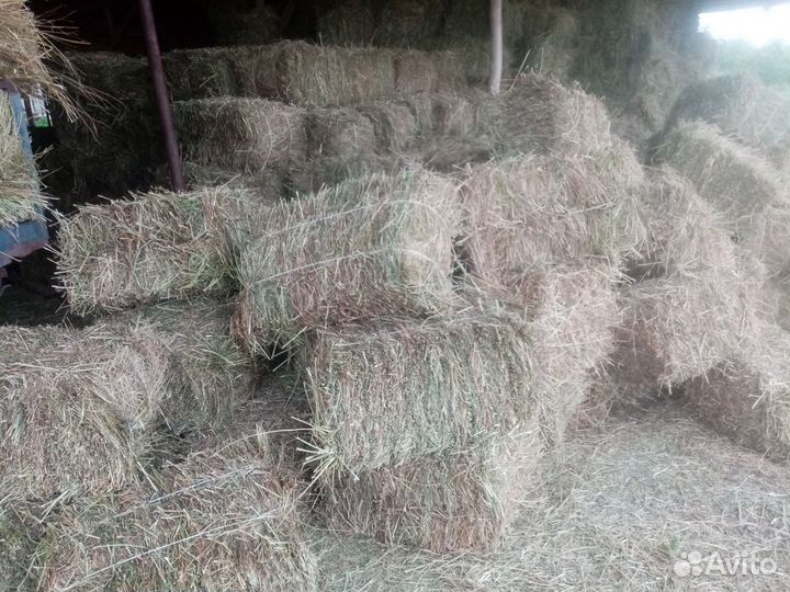 Сено солома в тюках