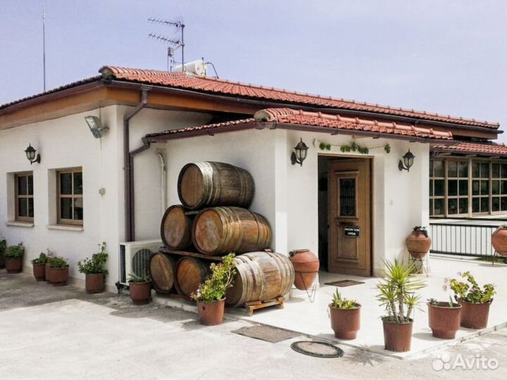 Лимассол Топ-Экскурсия Из Лимассола — в горный заповедник Троодос