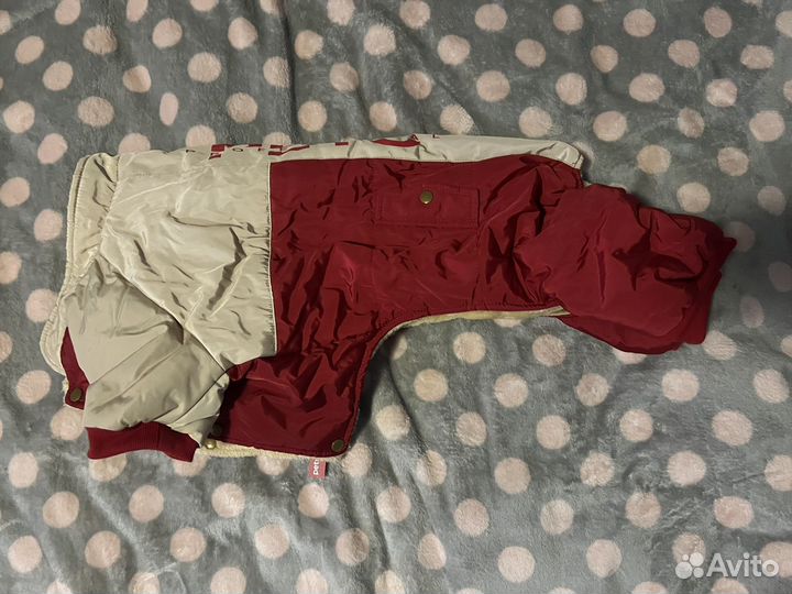 Костюм комбинезон для собак