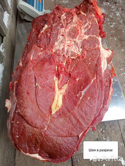 Мясо говядина