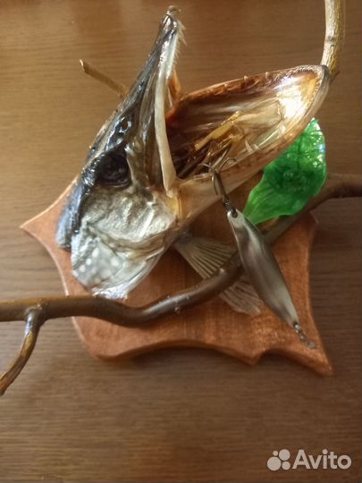 Чучело щуки