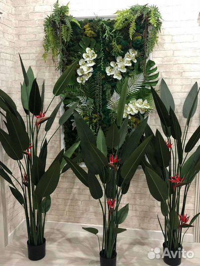 Стрелиция Николая деревья искусственные