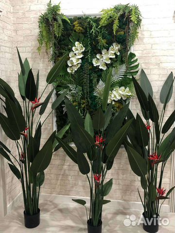 Стрелиция Николая деревья искусственные