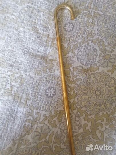 Трость саиди