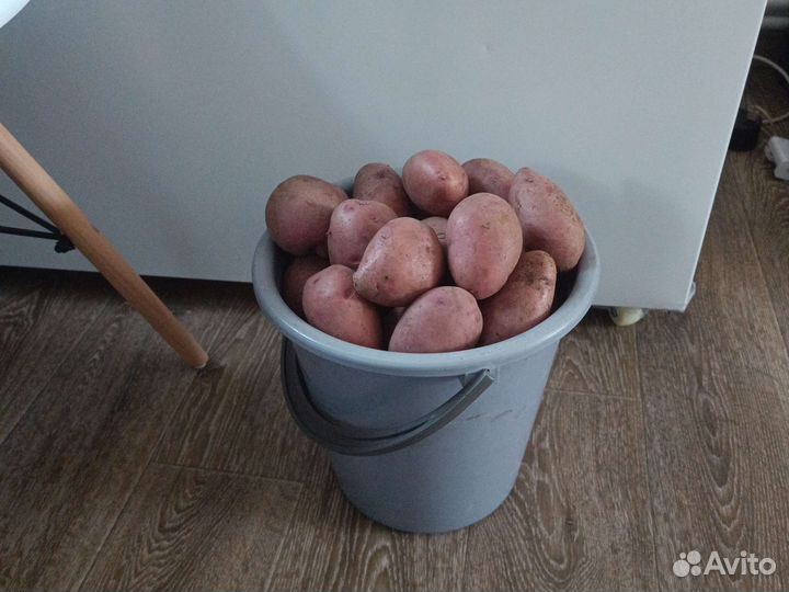 Овощи
