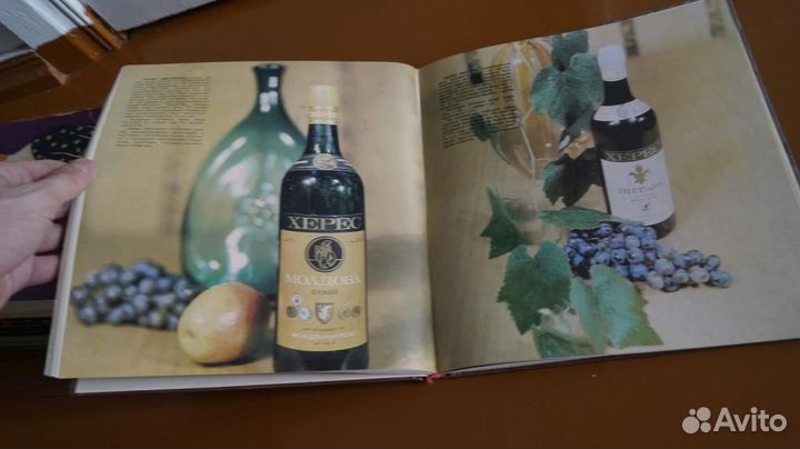 Вина и коньяки Молдавии. Автор текста Аникин П.И