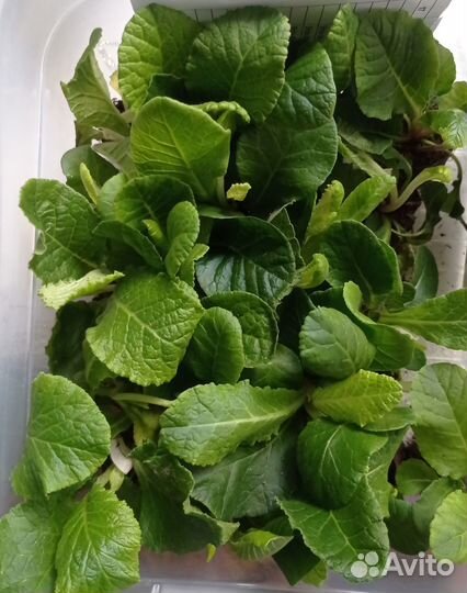 Предмет интерьера