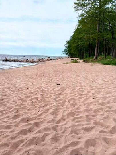 Дом 30 м² на участке 12,5 сот.