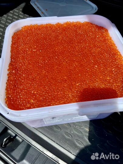 Красная икра