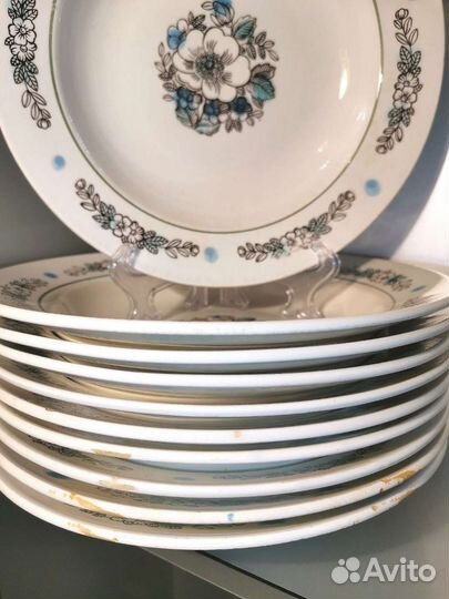 Тарелки зик яблоня, ежевика, роза СССР