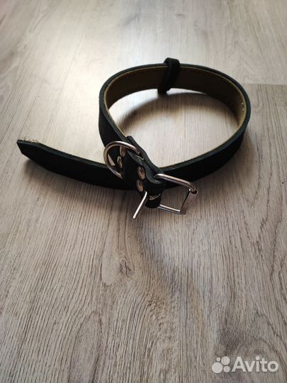 Ошейник и поводок для собак