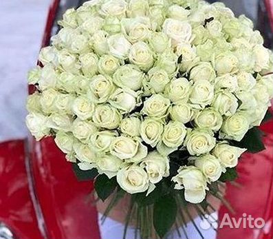 Высокие розы Доставка цветов