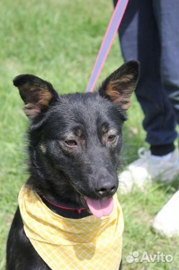 Трепетный и ласковый малыш Виктор ждет в клетке