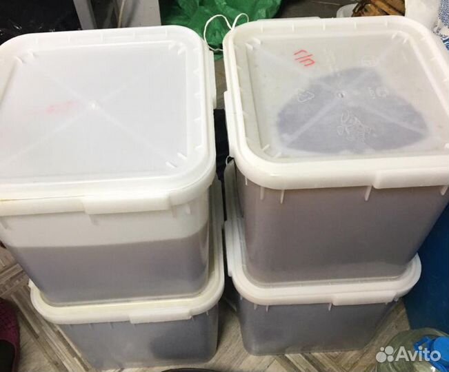 Мёд с доставкой