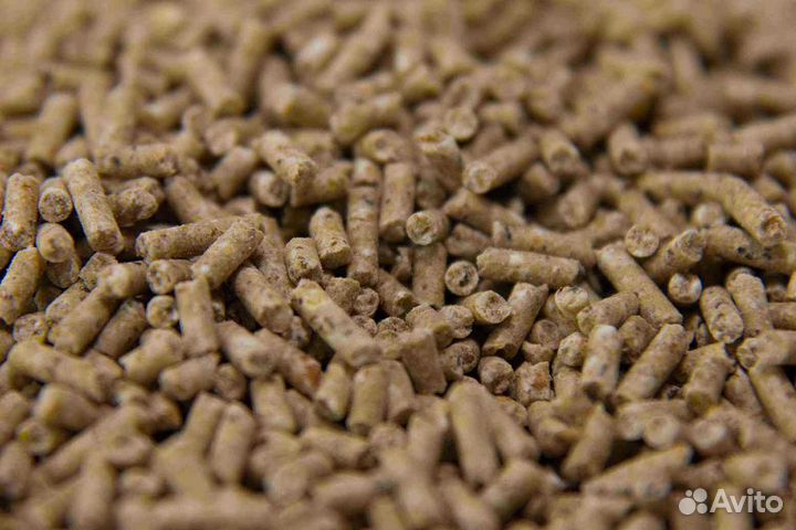 Престартерный Комбикорм для Свиноводства