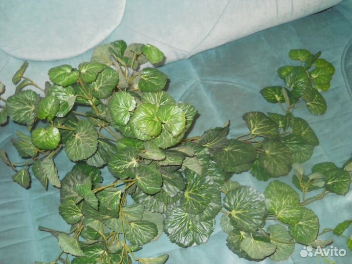 Подушки, декоративные растения, одеяла