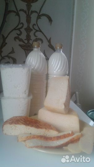 Молоко, творог, сыр, сметана