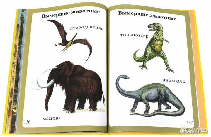 Энциклопедия малыша 