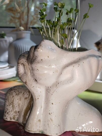 Оригинальные кашпо для микрозелени из гипса