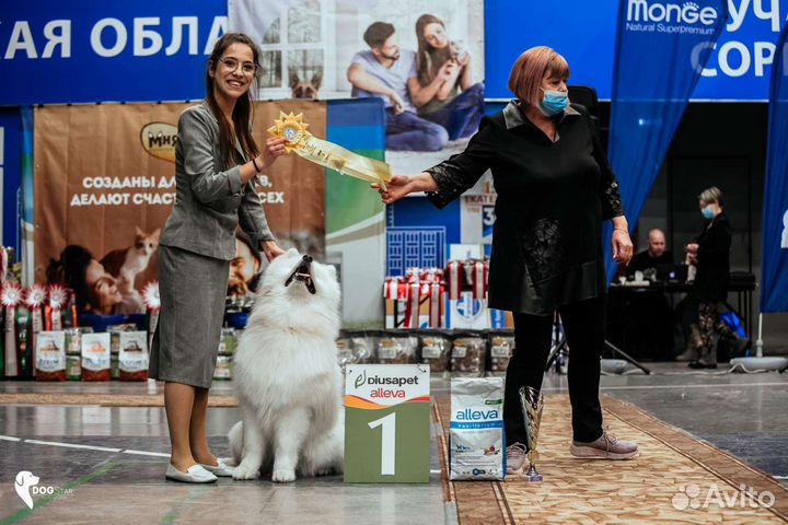 Услуги хендлера