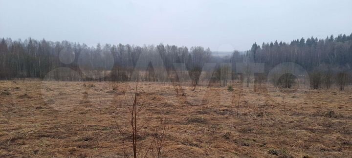 Участок 35 сот. (СНТ, ДНП)