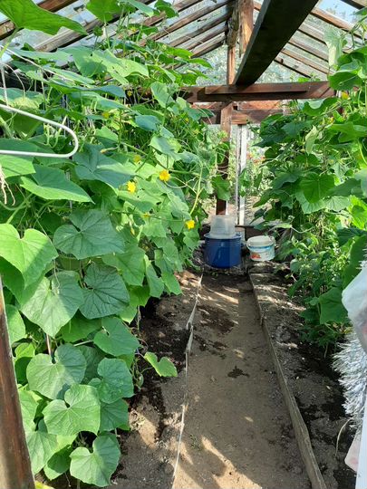 Дача 15 м² на участке 7,5 сот.