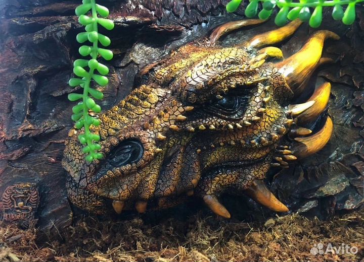 Фоны в террариум