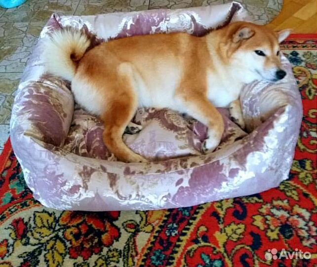 Лежанка для животных