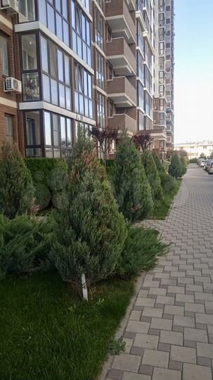 Квартира-студия, 25 м², 3/20 эт.