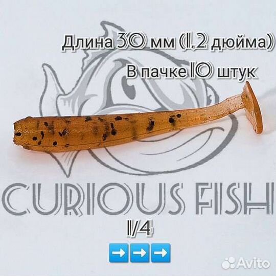 Curious Fish - Fish minnow 1,2 дюйма (30мм)