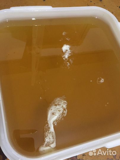 Алтайский мед оптом