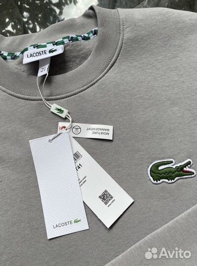 Свитшот мужской lacoste