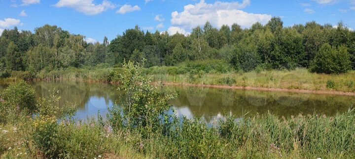 Участок 20 сот. (СНТ, ДНП)