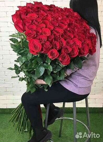 Высокие розы Гигантские розы 110